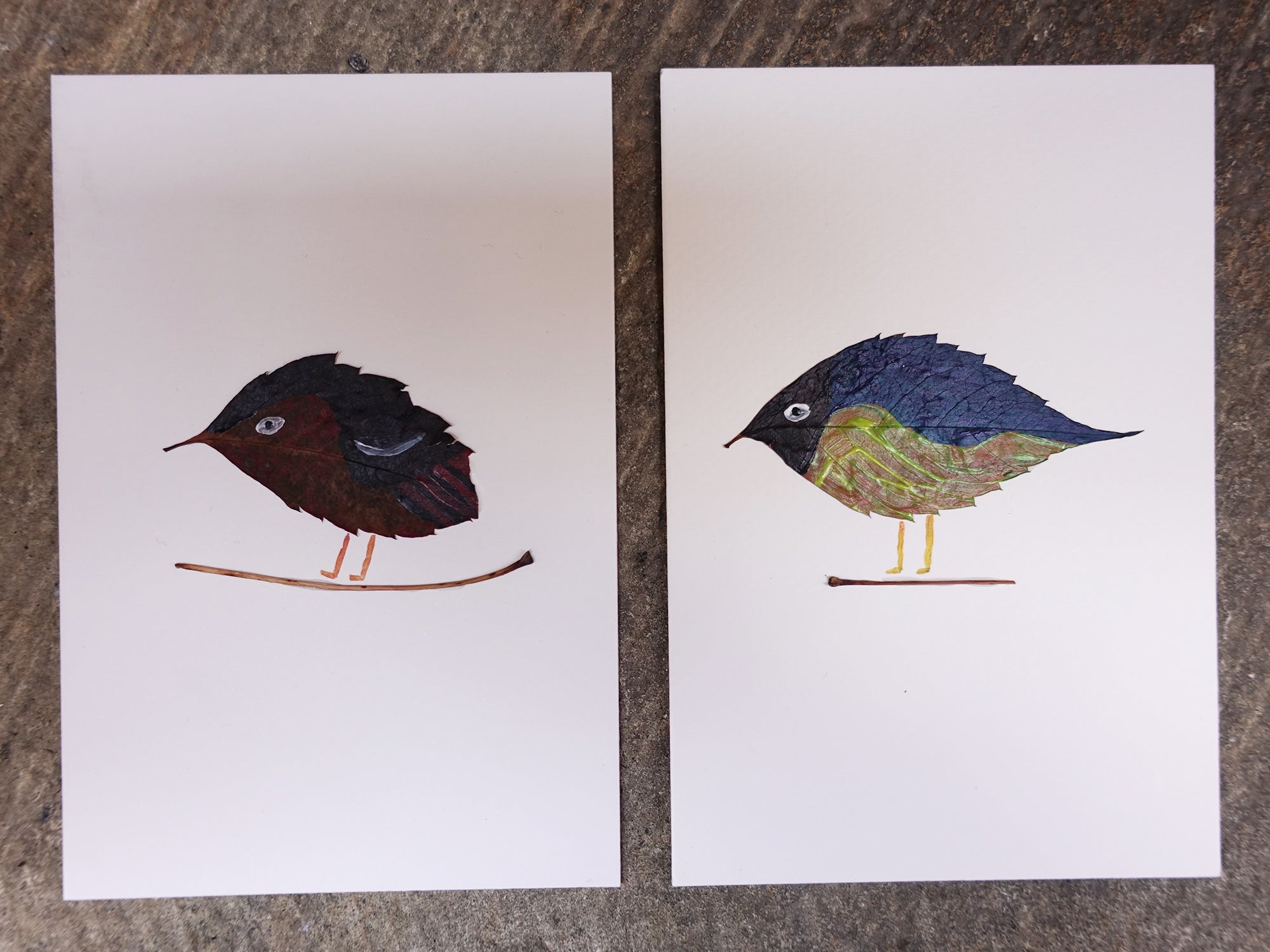 Unikarte Tiere
