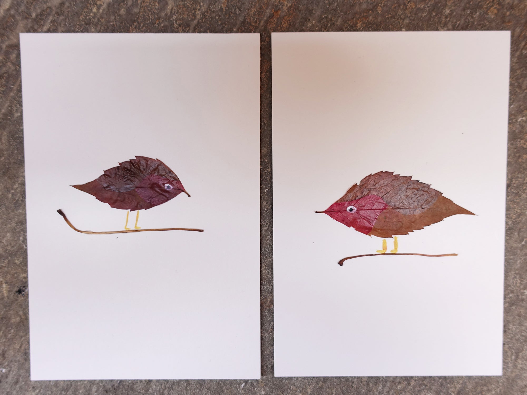 Unikarte Tiere