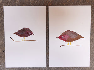 Unikarte Tiere